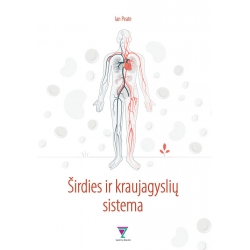Širdies ir kraujagyslių sistema