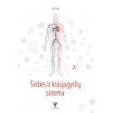 Širdies ir kraujagyslių sistema